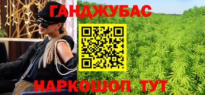 сатива Малгобек
