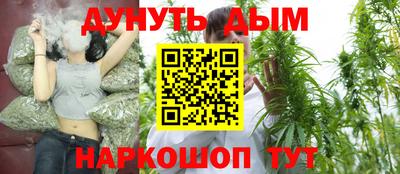 сатива Малгобек
