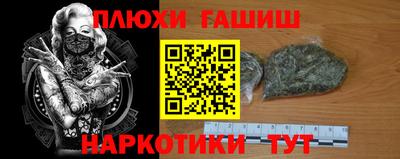 сатива Малгобек