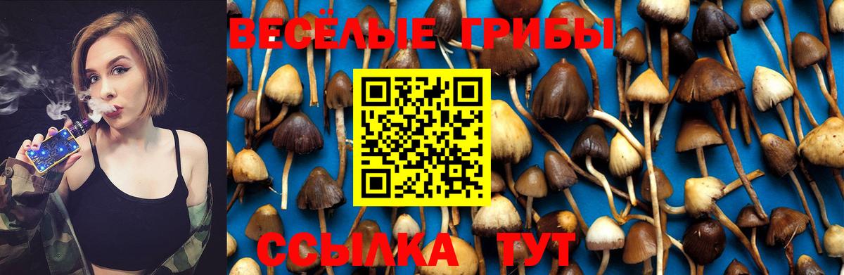 купить наркоту  Псилоцибиновые грибы Magic Shrooms  Вход с VPN  Шахты 